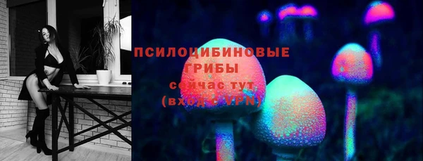 ПСИЛОЦИБИНОВЫЕ ГРИБЫ Алексеевка