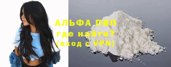 гашик Арсеньев