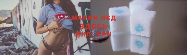стаф Алексин