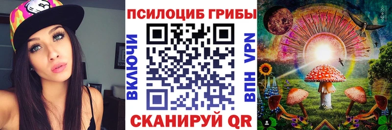 Галлюциногенные грибы Magic Shrooms что такое кракен ссылки Острогожск